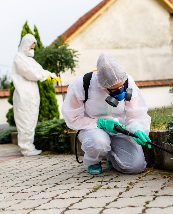 Pest control treatment