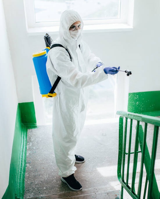 Pest control service