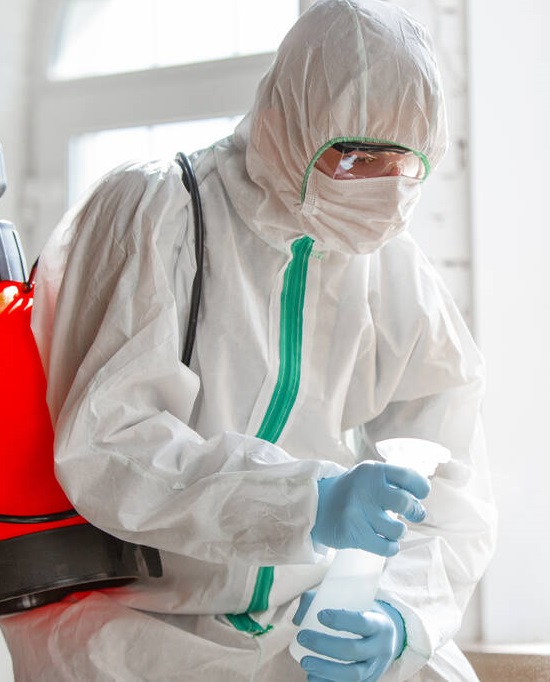 Home pest inspection