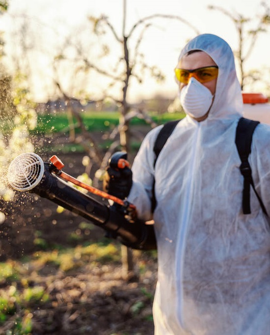 Pest control inspection